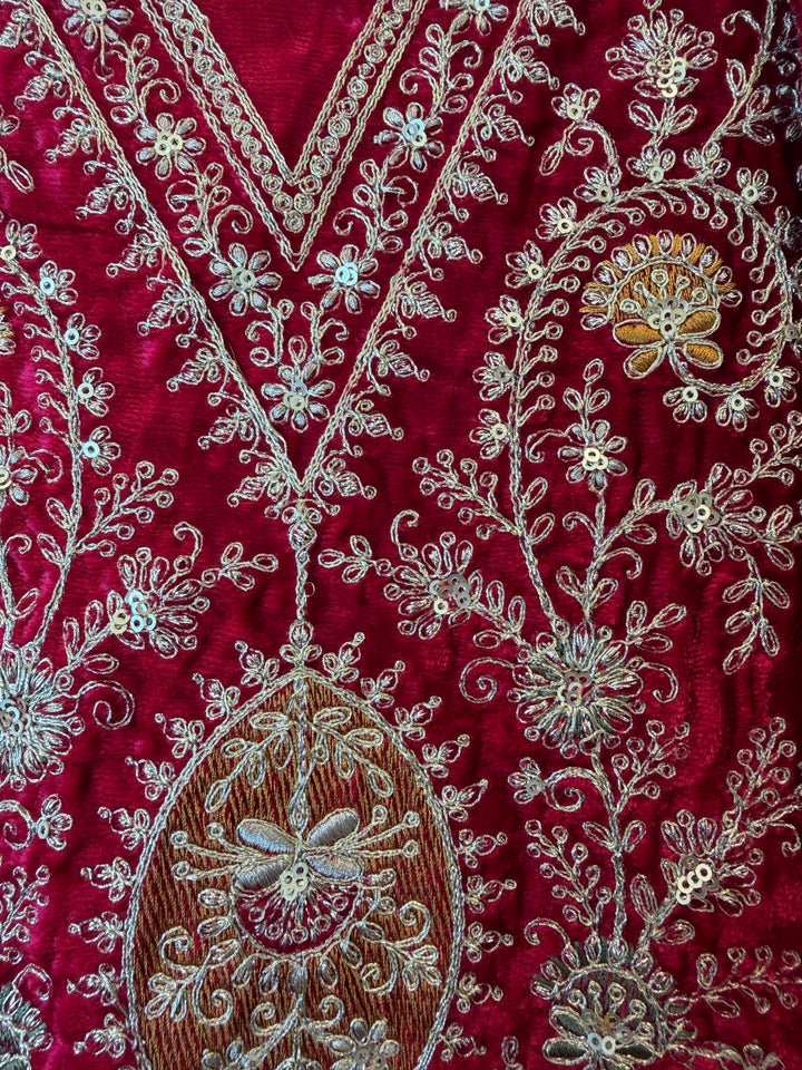 Viara – Silk Velvet Zari Suit