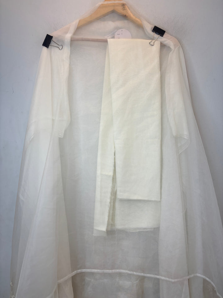 Organza Embroidered Suit Set with Appliqué &amp; Pearl Work