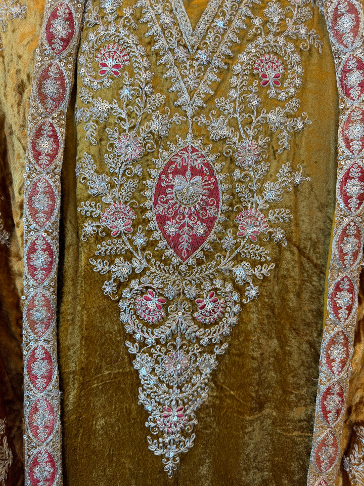 Raveena – Silk Velvet Dori Work Suit