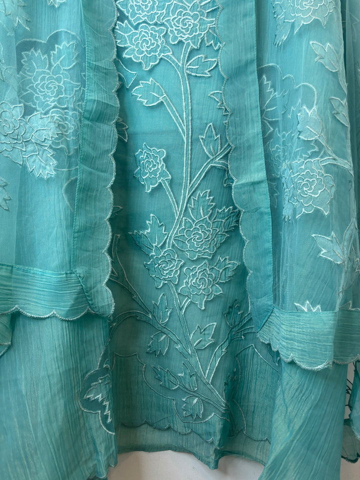 Blue Tissue Organza Appliqué Suit Set with Cutwork Detailing