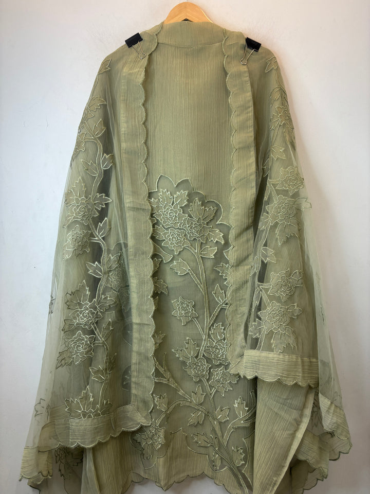Green Tissue Organza Appliqué Suit Set with Cutwork Detailing