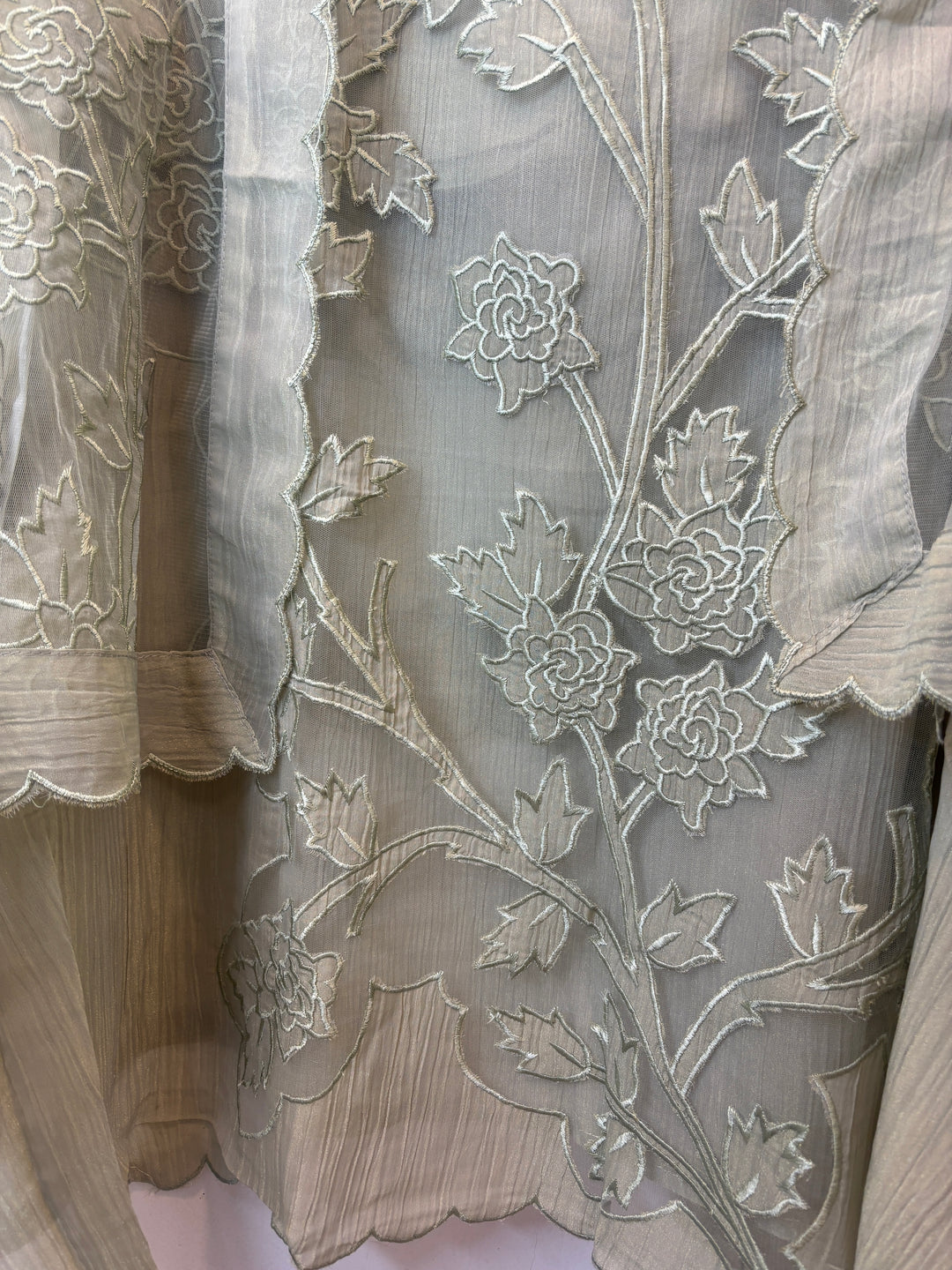 Green Tissue Organza Appliqué Suit Set with Cutwork Detailing