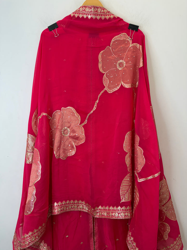 Banira – Tissue Organza Banarasi Handwork Suit