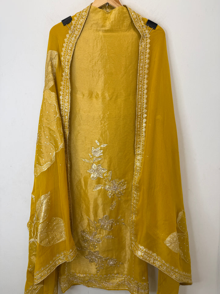 Banira – Tissue Organza Banarasi Handwork Suit