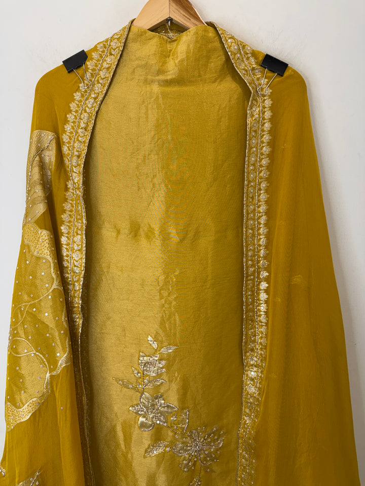 Banira – Tissue Organza Banarasi Handwork Suit