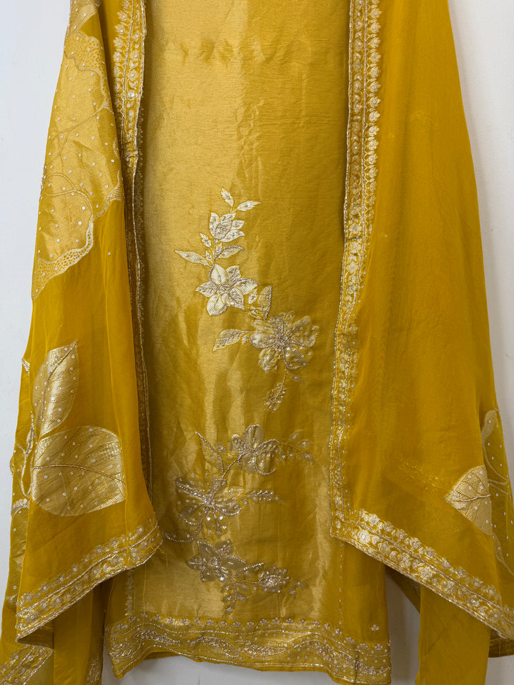 Banira – Tissue Organza Banarasi Handwork Suit