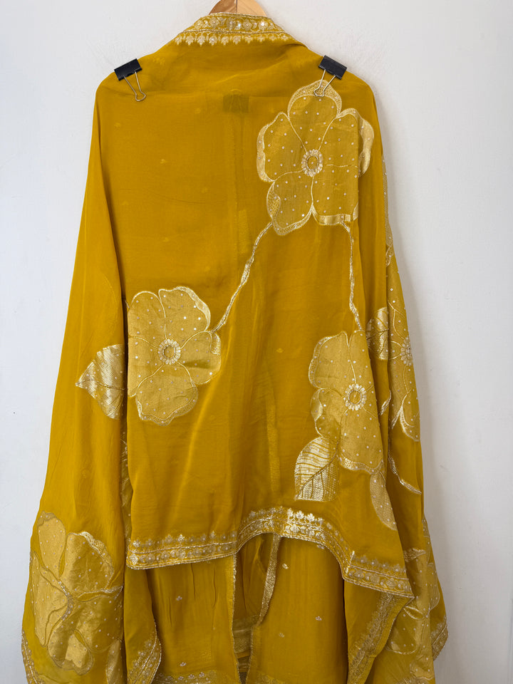 Banira – Tissue Organza Banarasi Handwork Suit