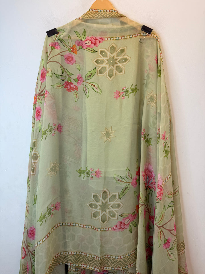 Elzara – Green Organza Digital Handwork Suit