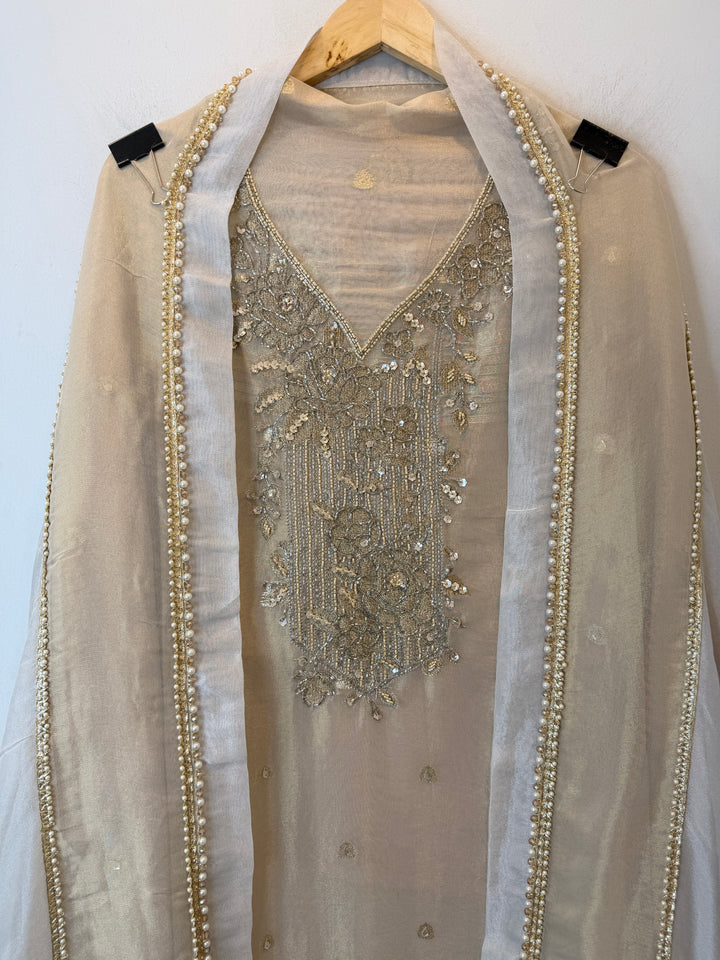Banira – Tissue Shimmer Banarasi Suit