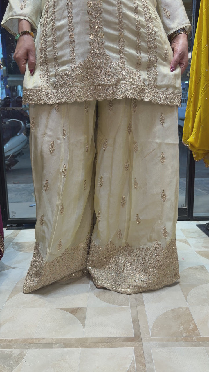 Zareeva – Tissue Zari Sharara Set